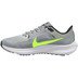 Nike Pegasus 40 Herren
