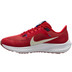 Nike Pegasus 40 Herren
