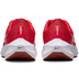 Nike Pegasus 40 Herren