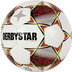 Derbystar Classic TT Super Light II - Maat 5