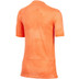 Nike Niederlande Heimtrikot Kinder