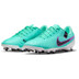 Nike Tiempo Legend 10 Academy FG/MG
