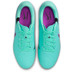 Nike Tiempo Legend 10 Academy FG/MG
