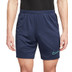 Nike Academy Shorts
