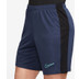 Nike Academy Shorts