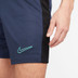 Nike Academy Shorts