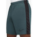 Nike Academy Short