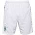 Hummel Werder Bremen Thuis Kids Tenue