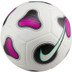 Nike Futsal Pro