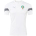 Puma Marroco Trainingsshirt