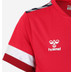 Hummel FC Köln Trainingsshirt Kids