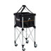 Head Ball Trolley
