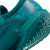 Nike Court Zoom NXT Heren