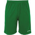 Stanno Club Pro Shorts Kids 3