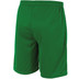 Stanno Club Pro Shorts Kids 5