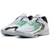 Nike Zoom Freak 4