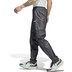 adidas Terrex Rain Hose Herren