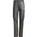 adidas Terrex Rain Hose Damen