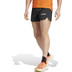 adidas Terrex Pro Short Herren