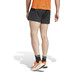 adidas Terrex Pro Short Herren