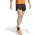 adidas Terrex Pro Short Herren