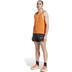 adidas Terrex Pro Short Herren