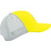Compressport Trucker Pet
