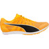 PUMA evoSPEED Distance 11 Herren