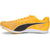 PUMA evoSPEED Distance 11 Herren
