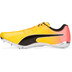 PUMA evoSPEED Electric 13