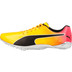 PUMA evoSPEED Electric 13