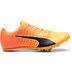 PUMA evoSPEED FUTURE JUMP 6