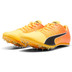 PUMA evoSPEED FUTURE JUMP 6