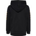 Hummel E24C Cotton Hoodie Kids