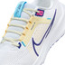 Nike Pegasus 40 Heren