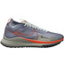 Nike Pegasus Trail 4 GTX Herren 1