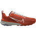 Nike Terra Kiger 9 Heren