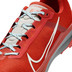 Nike Terra Kiger 9 Heren