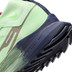 Nike Pegasus Trail 4 GTX Heren