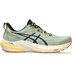 ASICS GT-2000 12 TR Herren