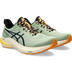 ASICS GT-2000 12 TR Herren