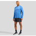 Odlo Essential Seamless Longsleeve Herren 4