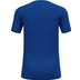 Odlo Active F-Dry Light ECO T-Shirt Heren