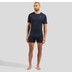Odlo Merino 160 T-Shirt Heren