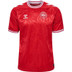 Hummel Dänemark Heim Trikot
