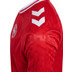 Hummel Dänemark Heim Trikot