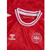 Hummel Dänemark Heim Trikot
