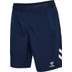 Hummel Denemarken Pro Training Short 2024/2026
