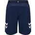 Hummel Denemarken Pro Training Short 2024/2026