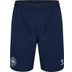 Hummel Denemarken Pro Training Short 2024/2026